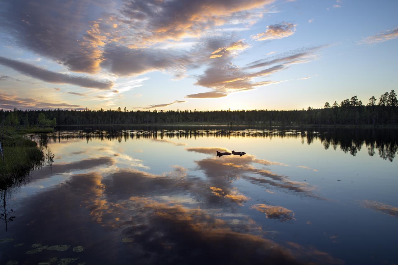 Ounasvaaran Lakituvat