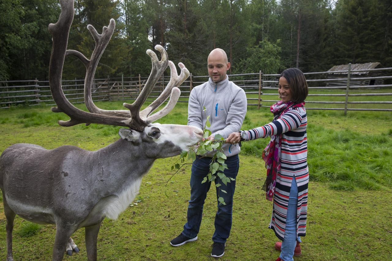 Loma-asunnot Ounasvaaran Lakituvat Rovaniemi