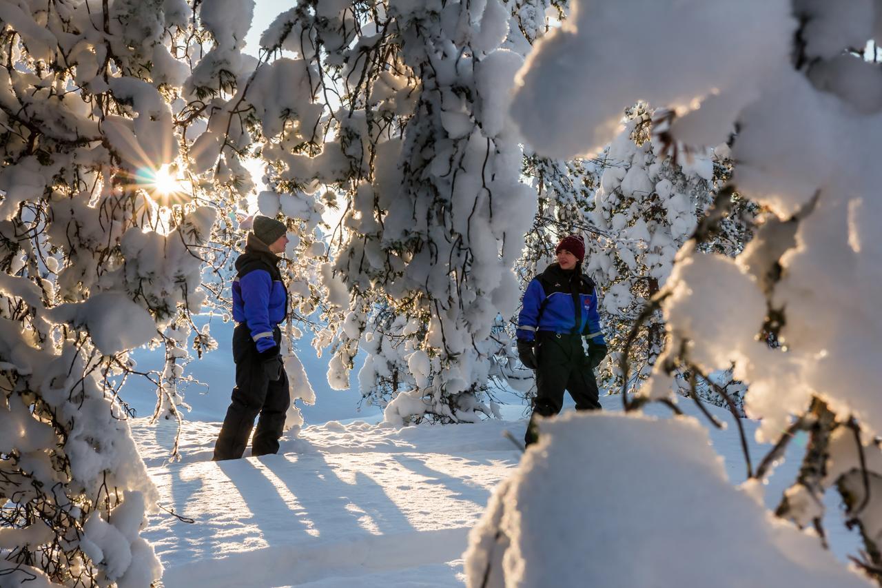 Ounasvaaran Lakituvat * Rovaniemi